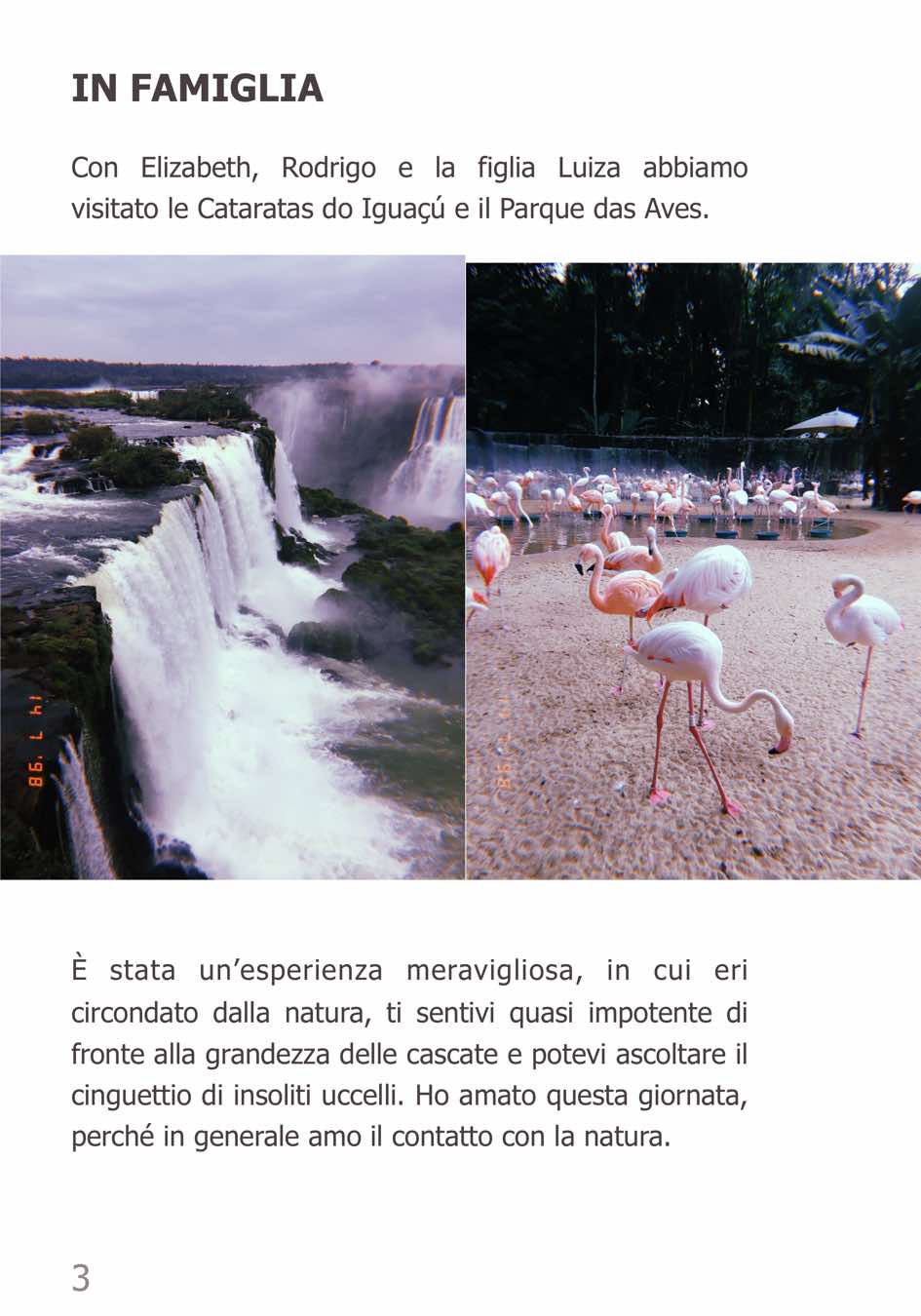 brasile3