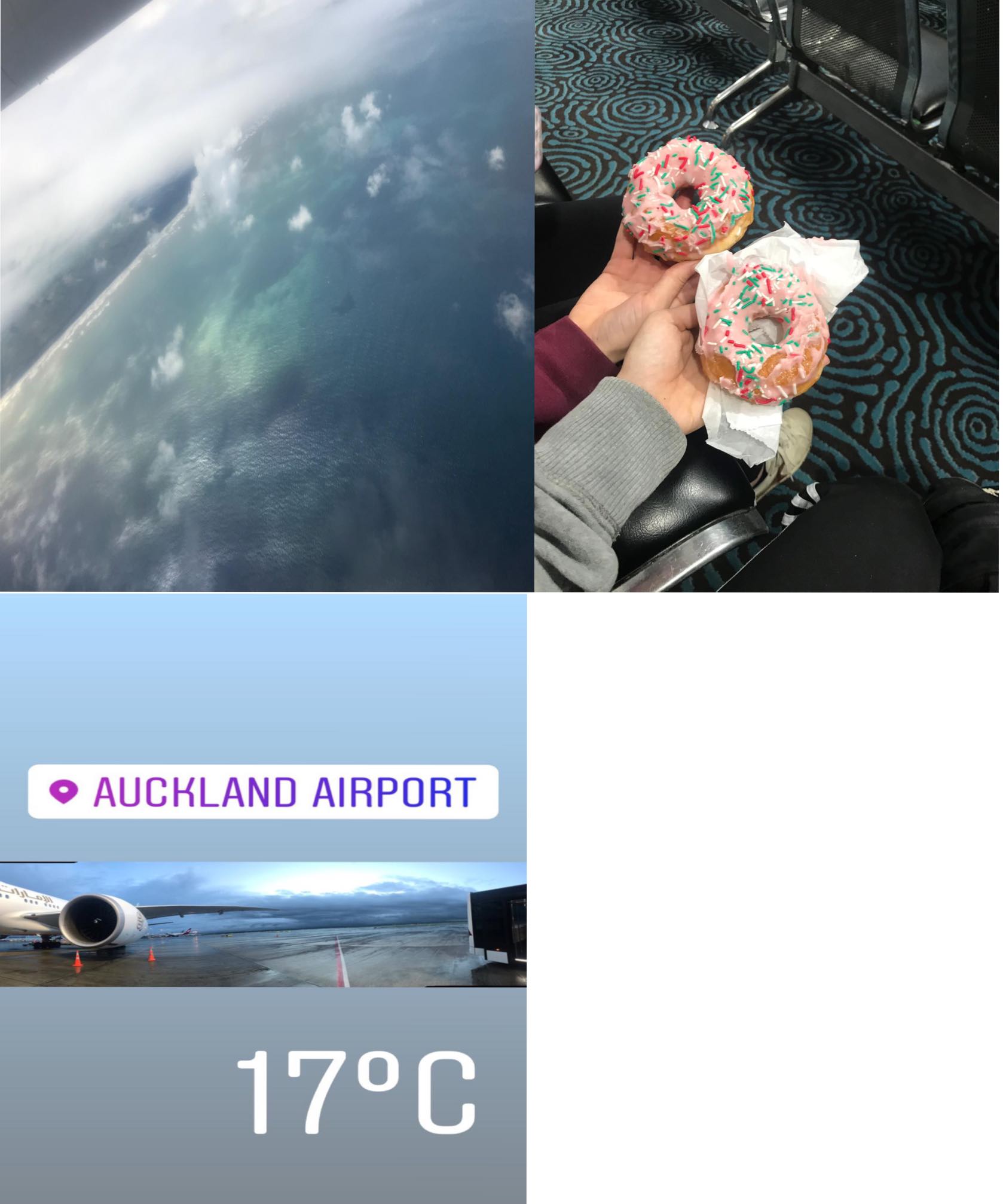 NZ3