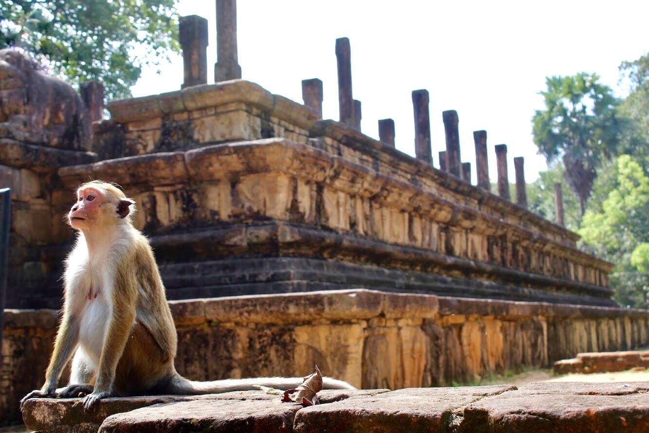 Sri Lanka 3